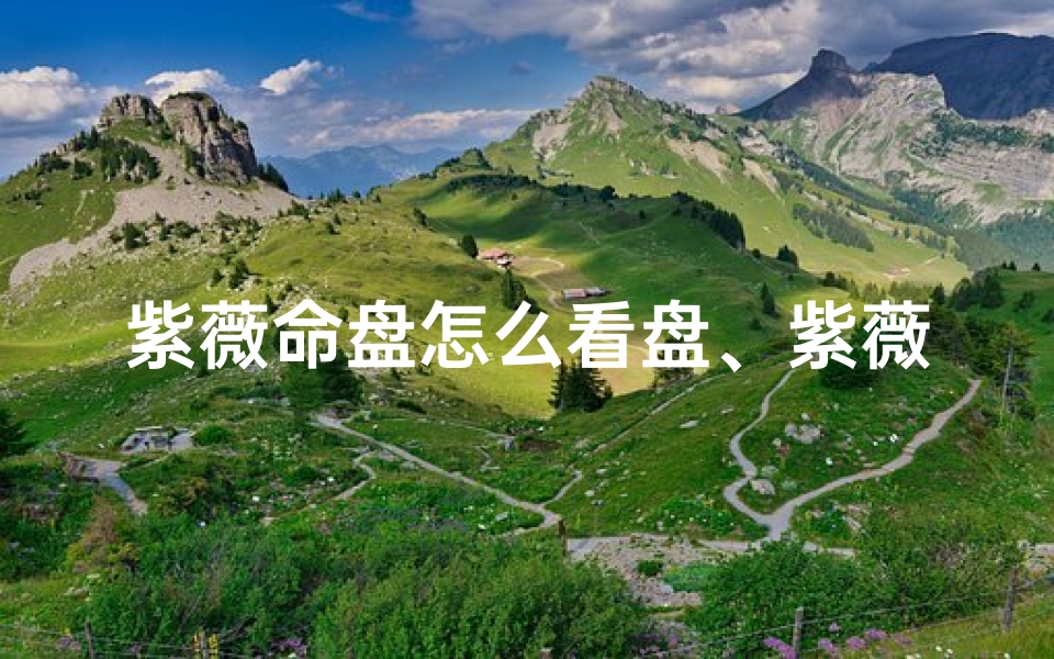 紫薇命盘怎么看盘、紫薇命盘吉凶速查指南
