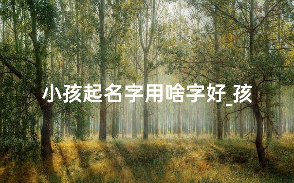 小孩起名字用啥字好_孩子起名用字大全