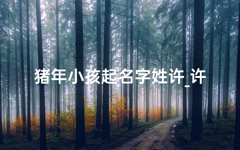猪年小孩起名字姓许_许姓猪宝宝取名 女孩