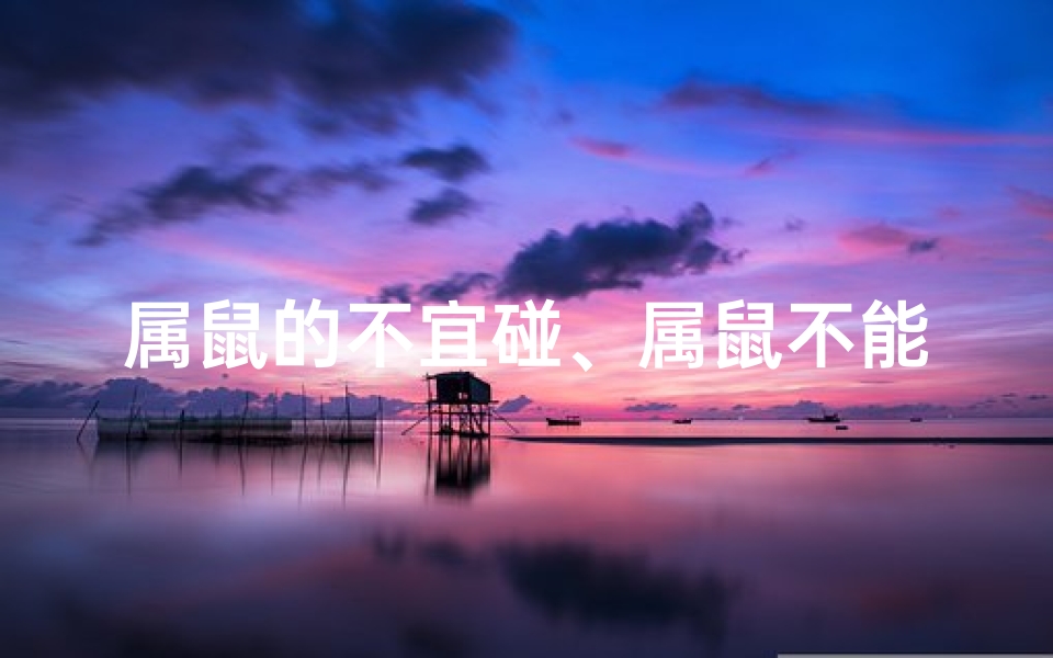 属鼠的不宜碰、属鼠不能带什么东西