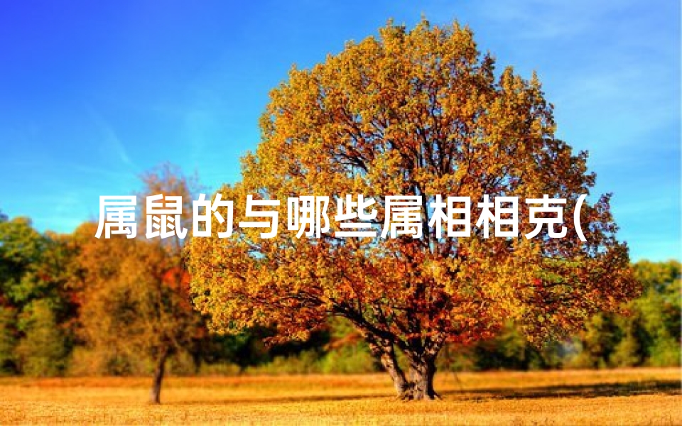 属鼠的与哪些属相相克(属鼠的和哪些生肖相冲)