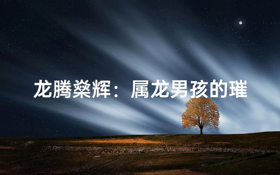 龙腾燊辉：属龙男孩的璀璨未来