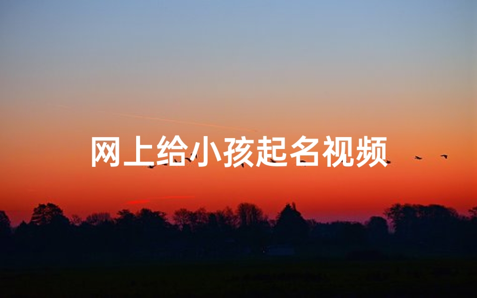 网上给小孩起名视频