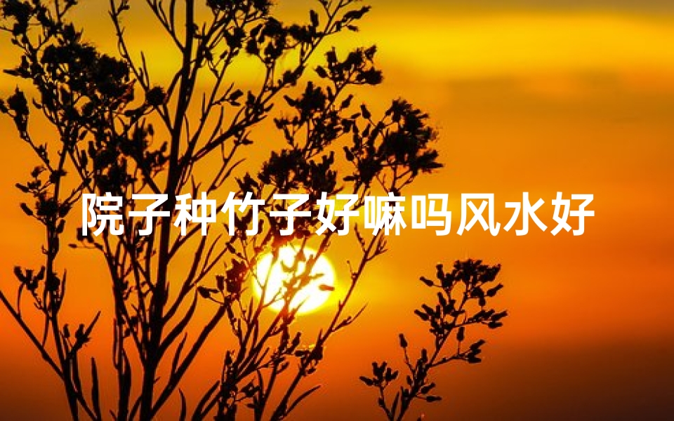 院子种竹子好嘛吗风水好吗、院子种竹子风水好不好