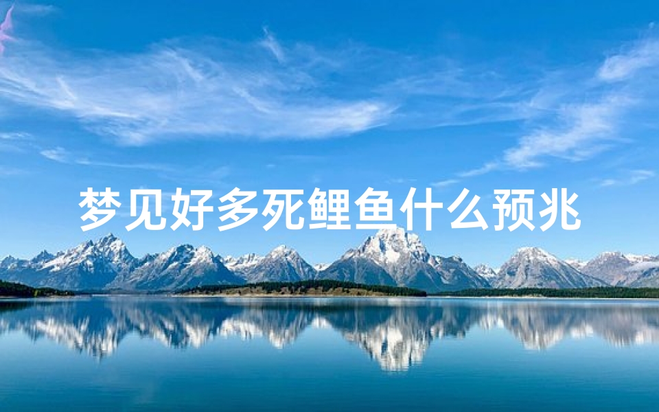梦见好多死鲤鱼什么预兆_梦见好多死鲤鱼什么预兆解梦