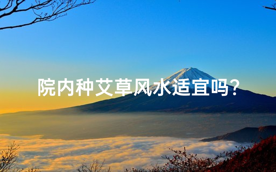 院内种艾草风水适宜吗?