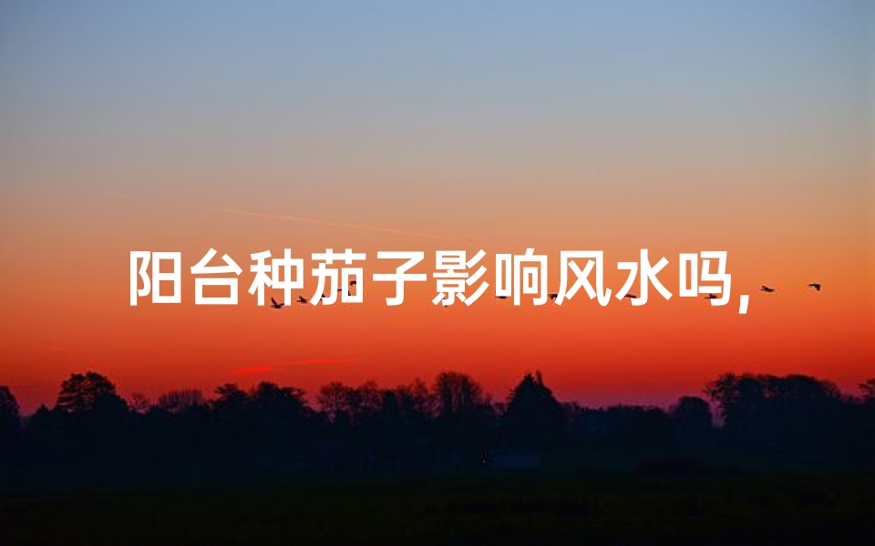 阳台种茄子影响风水吗,阳台种茄子怎样施肥