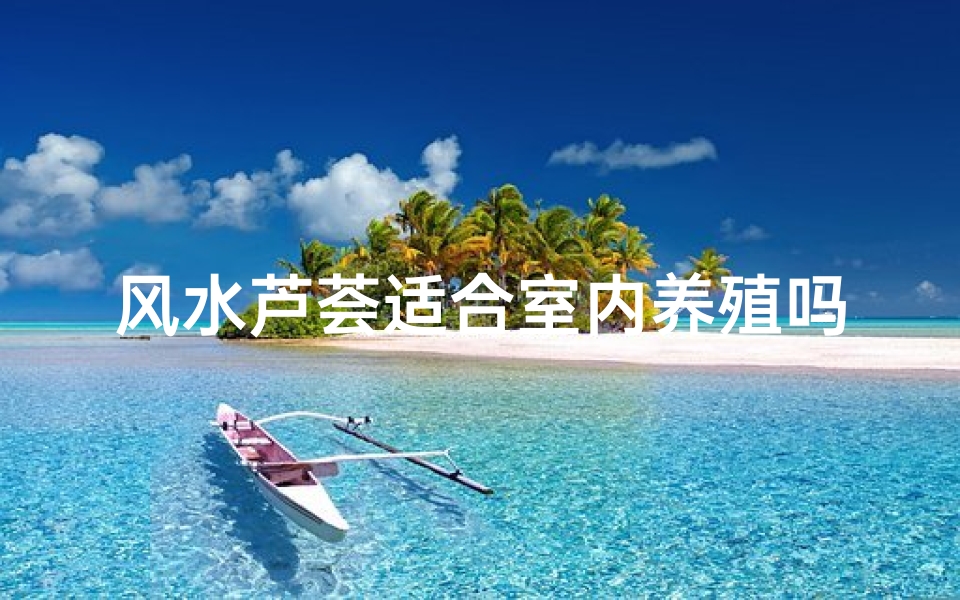 风水芦荟适合室内养殖吗