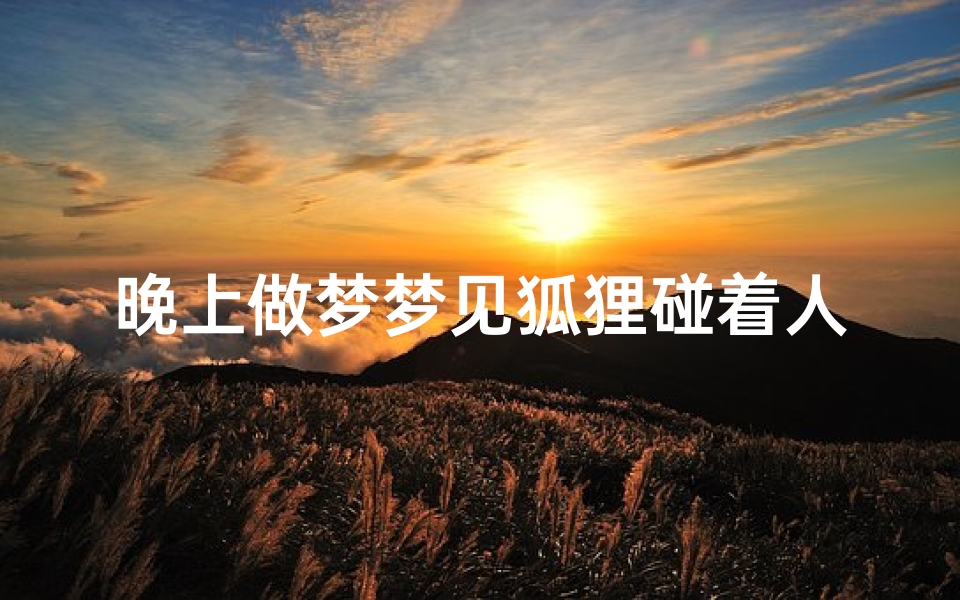 晚上做梦梦见狐狸碰着人、梦到狐狸攻击人