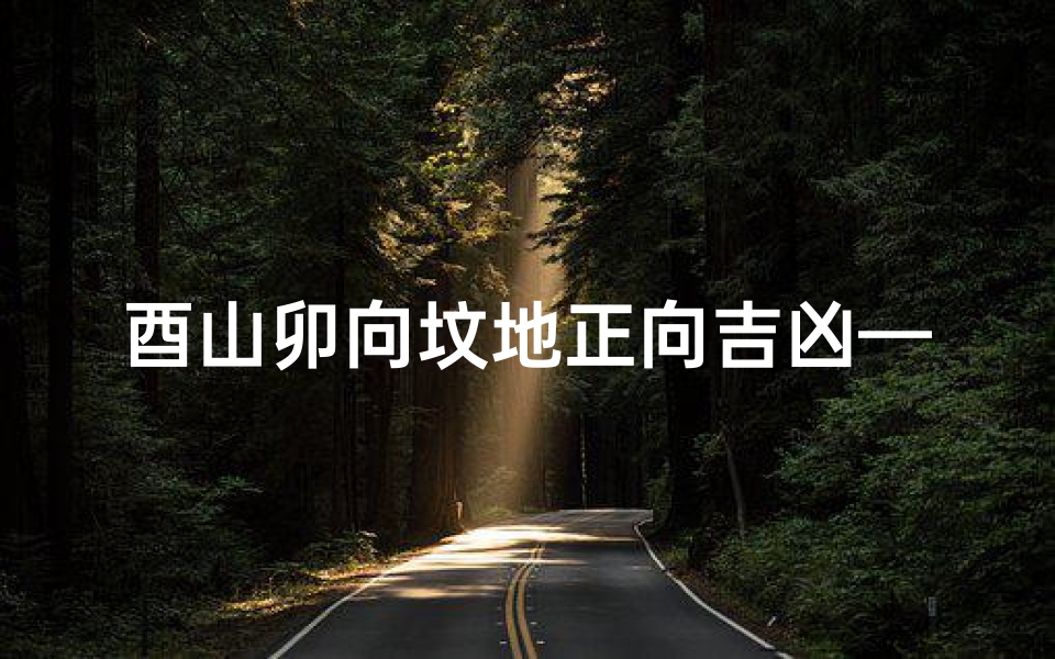 酉山卯向坟地正向吉凶—酉山卯向坟地正向吉凶解析揭秘