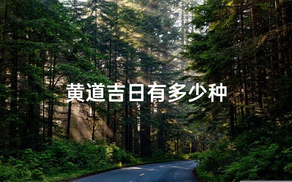 黄道吉日有多少种