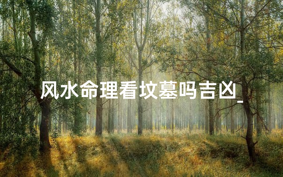 风水命理看坟墓吗吉凶_《风水命理揭秘:坟墓吉凶判断指南》