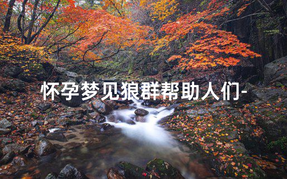 怀孕梦见狼群帮助人们-孕妇梦见狼群保护自己