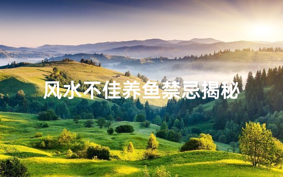 风水不佳养鱼禁忌揭秘