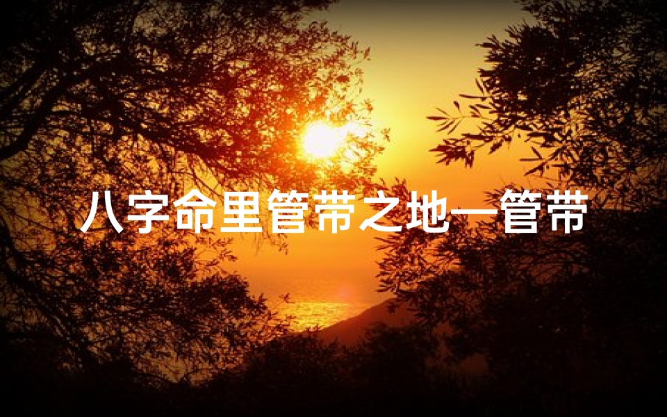 八字命里管带之地—管带是什么官