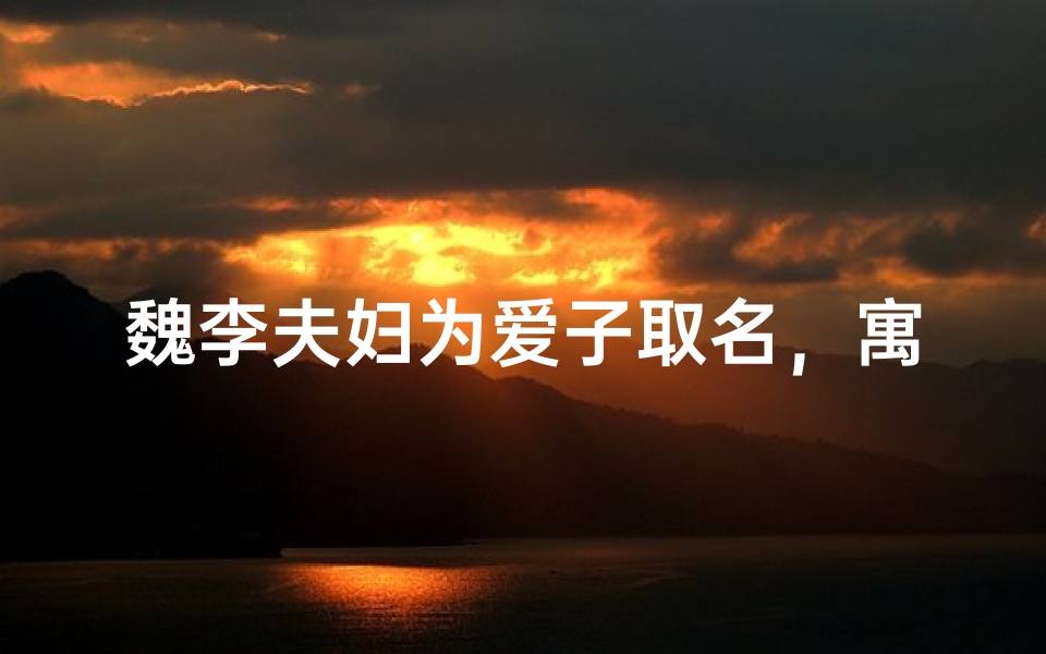 魏李夫妇为爱子取名,寓意美好,名字揭晓