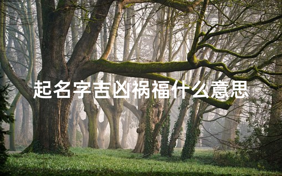 起名字吉凶祸福什么意思、起名凶吉是什么意思