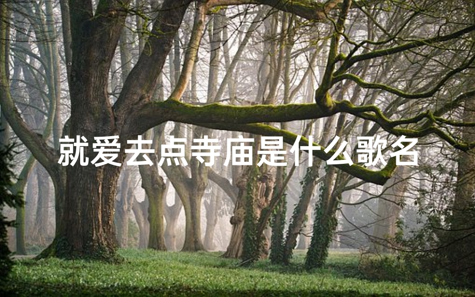 就爱去点寺庙是什么歌名、《就爱去点寺庙,心灵之旅歌》