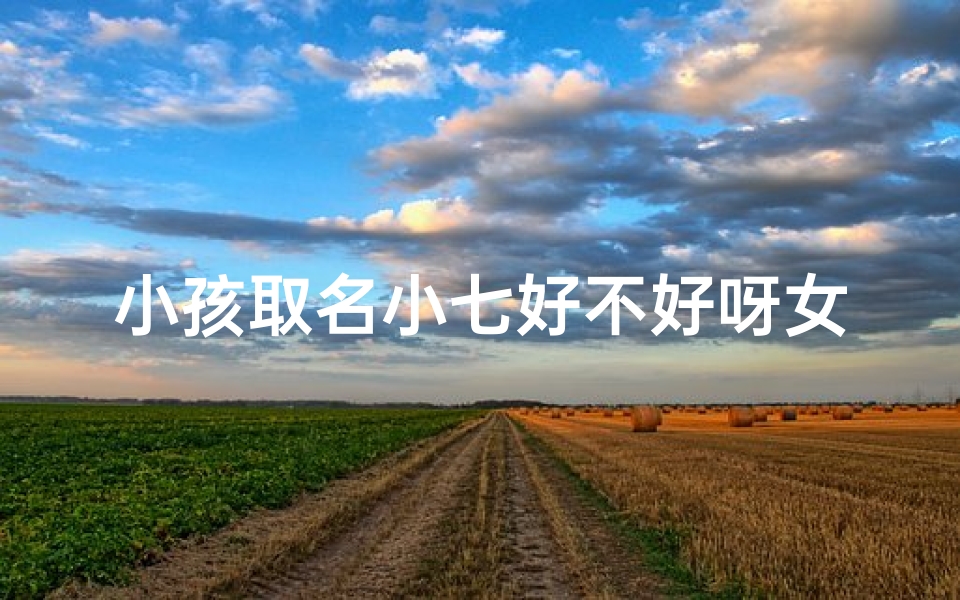 小孩取名小七好不好呀女孩、小名 小七
