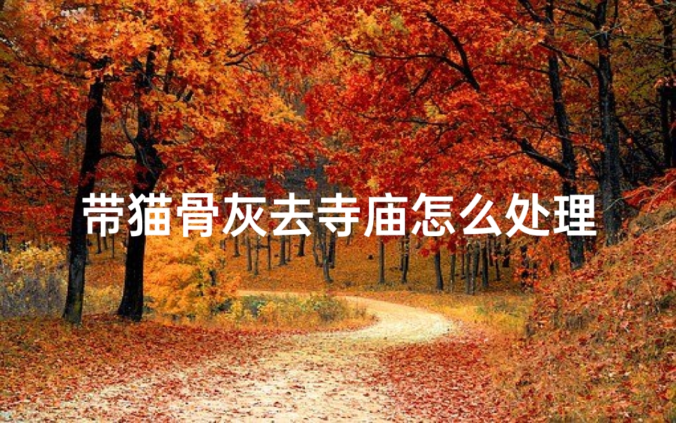 带猫骨灰去寺庙怎么处理(带猫去墓地好不好?)