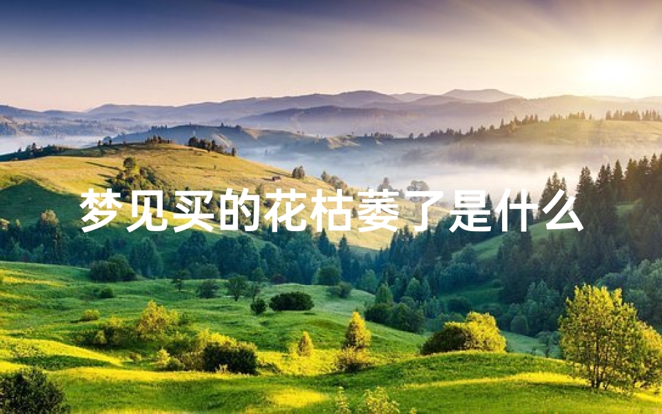 梦见买的花枯萎了是什么征兆,梦见买的花枯萎了是什么征兆周公解梦
