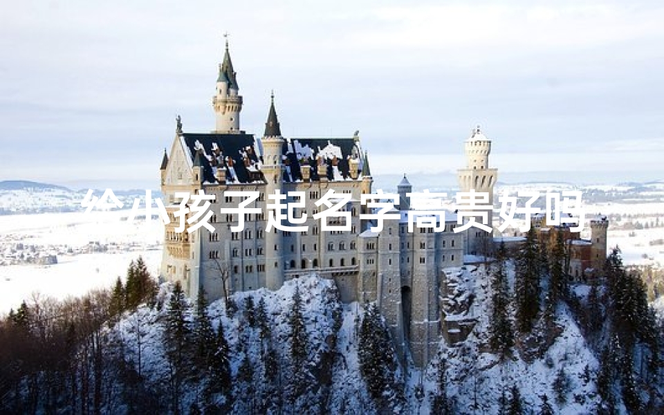 给小孩子起名字高贵好吗-男孩名字高贵
