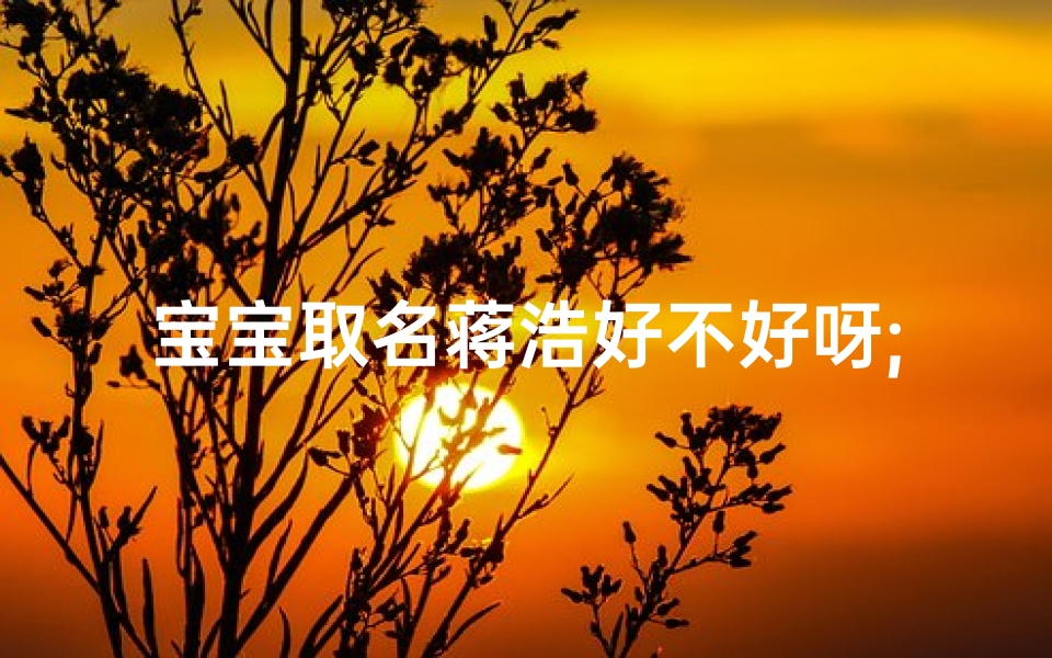 宝宝取名蒋浩好不好呀;《宝宝取名蒋浩:寓意深远,好听又吉祥》