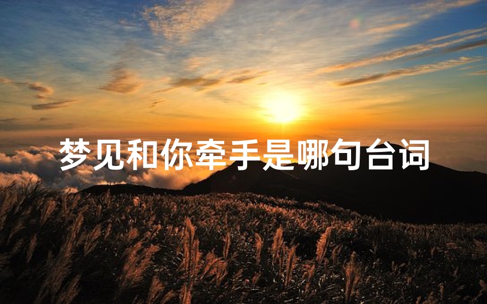 梦见和你牵手是哪句台词、梦见牵手一起走