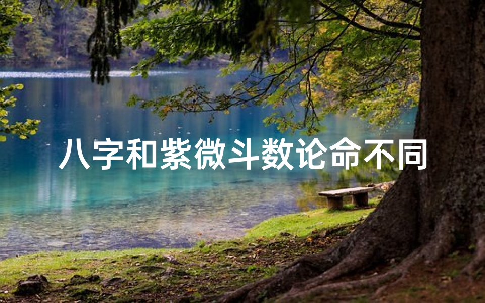八字和紫微斗数论命不同_八字和紫微斗数不一样