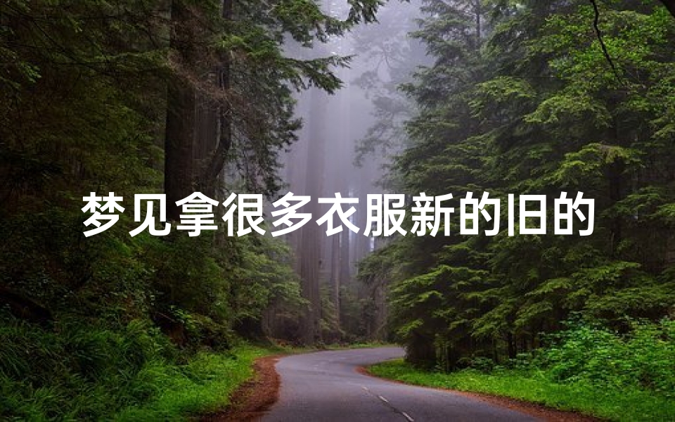 梦见拿很多衣服新的旧的都有(梦见好多好多旧衣服自己逃喜欢的拿)