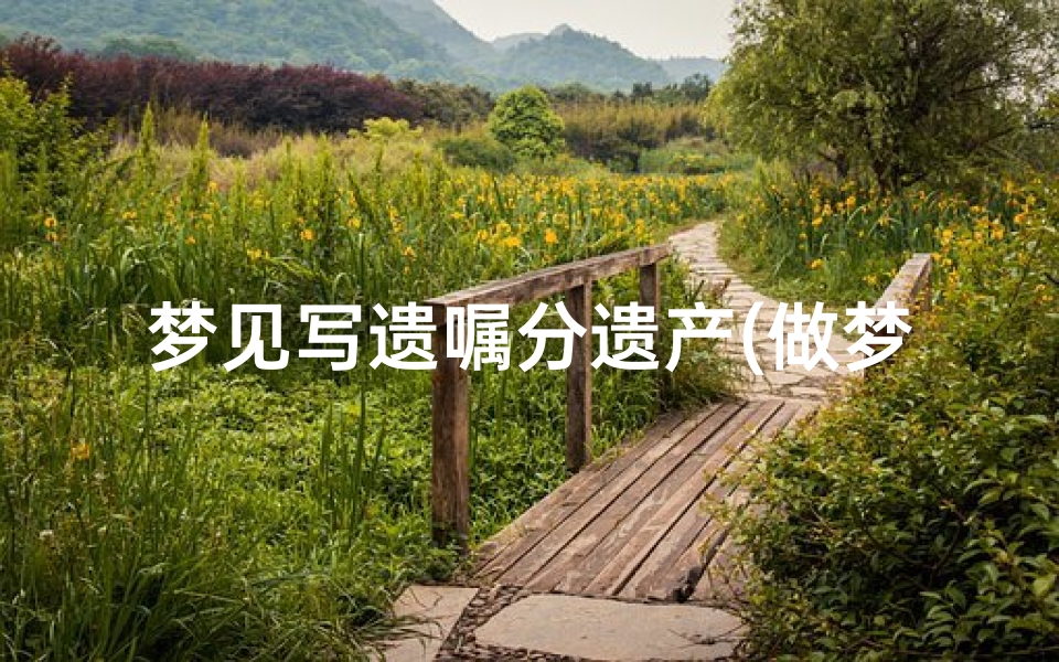 梦见写遗嘱分遗产(做梦梦到写遗嘱)