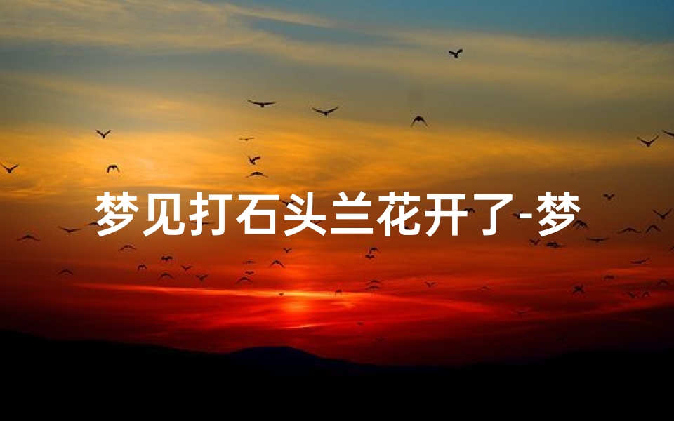 梦见打石头兰花开了-梦见石头开花好不好