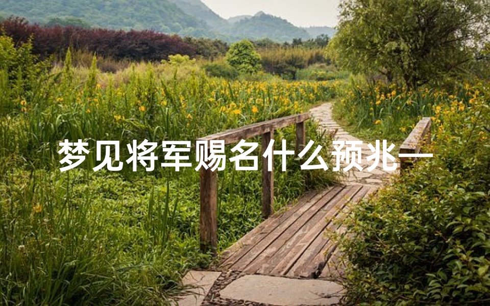 梦见将军赐名什么预兆—梦见将军名字