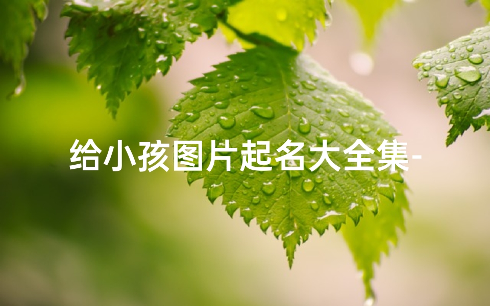 给小孩图片起名大全集-《儿童图片命名宝典：创意无限的小名大全》