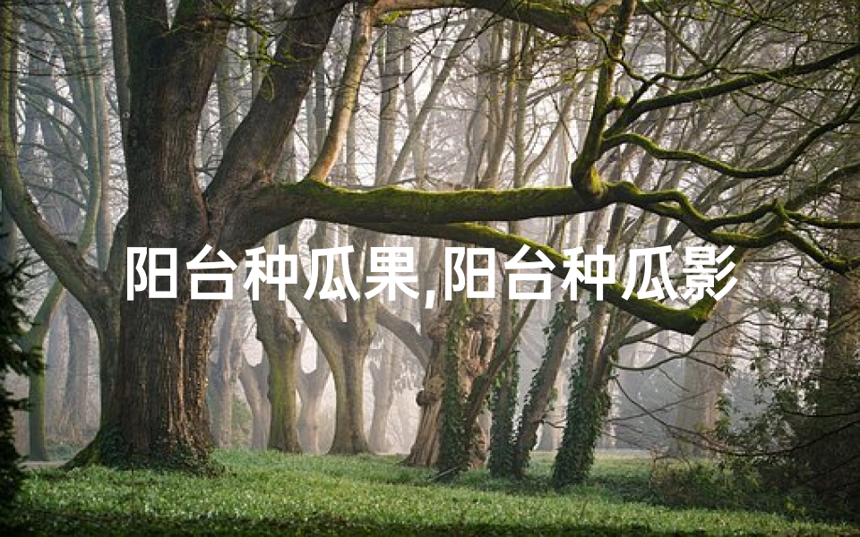 阳台种瓜果,阳台种瓜影响风水?揭秘家居风水禁忌