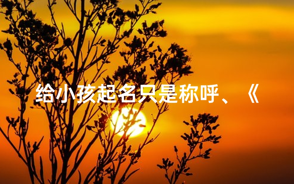 给小孩起名只是称呼、《宝宝昵称大集合:创意起名新风尚》-优贝算卦网