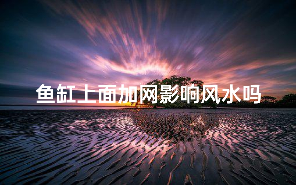 鱼缸上面加网影响风水吗_鱼缸底网作用