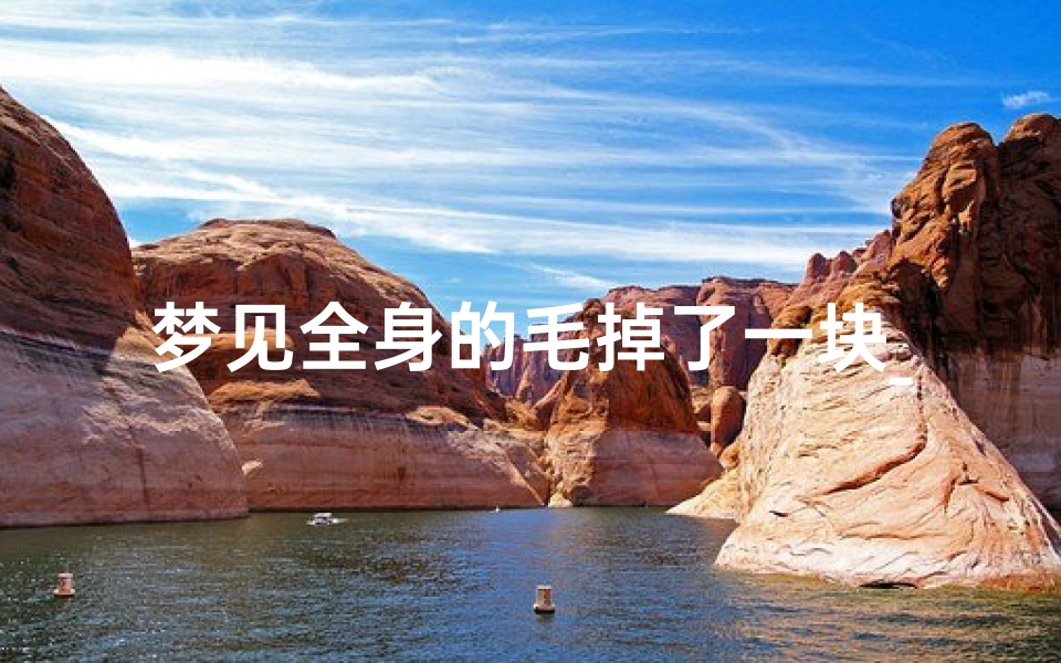 梦见全身的毛掉了一块_梦见自己身上毛发都掉了
