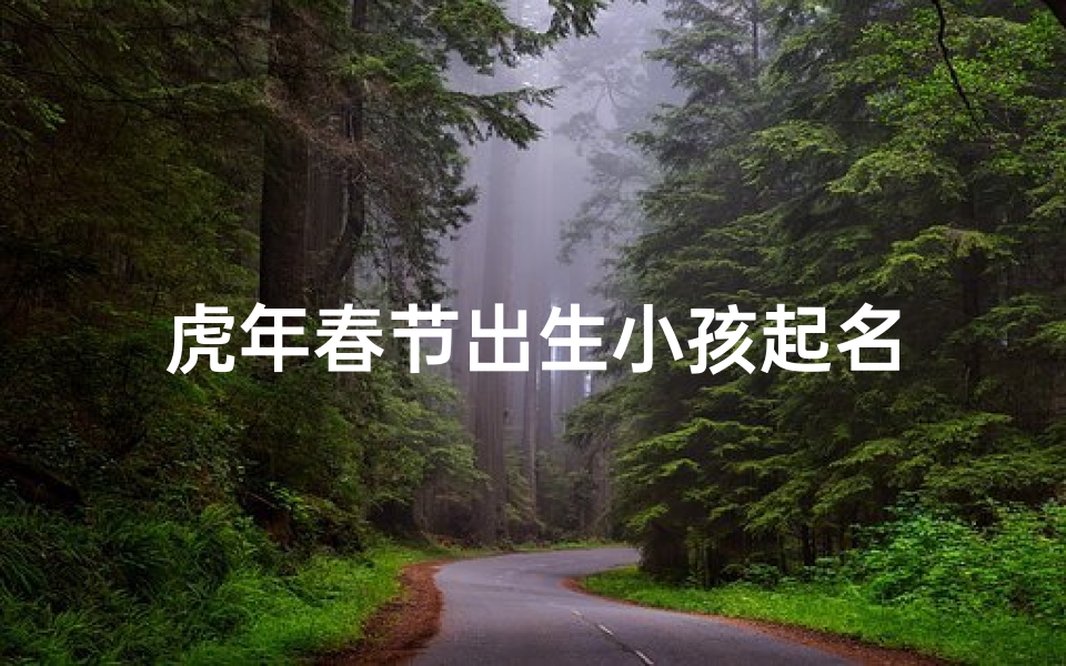 虎年春节出生小孩起名