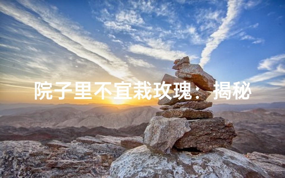 院子里不宜栽玫瑰:揭秘风水禁忌