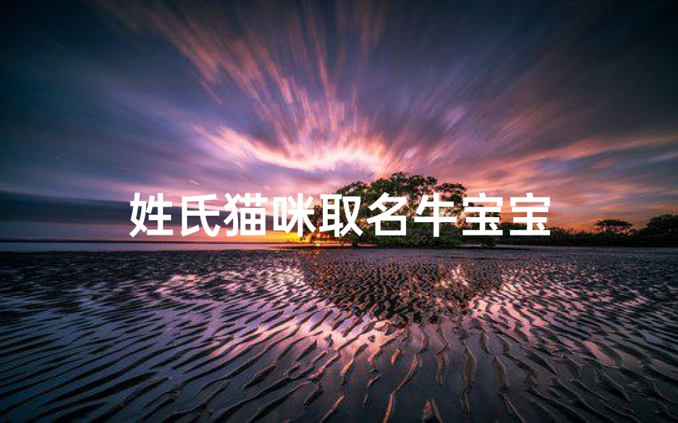 姓氏猫咪取名牛宝宝