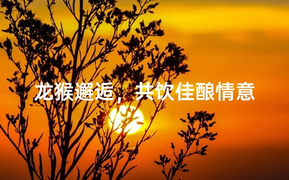 龙猴邂逅,共饮佳酿情意浓
