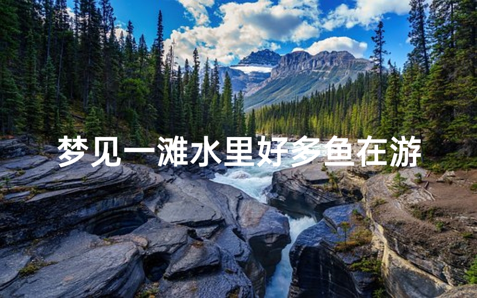 梦见一滩水里好多鱼在游;梦见好多鱼在水边游-优贝算卦网