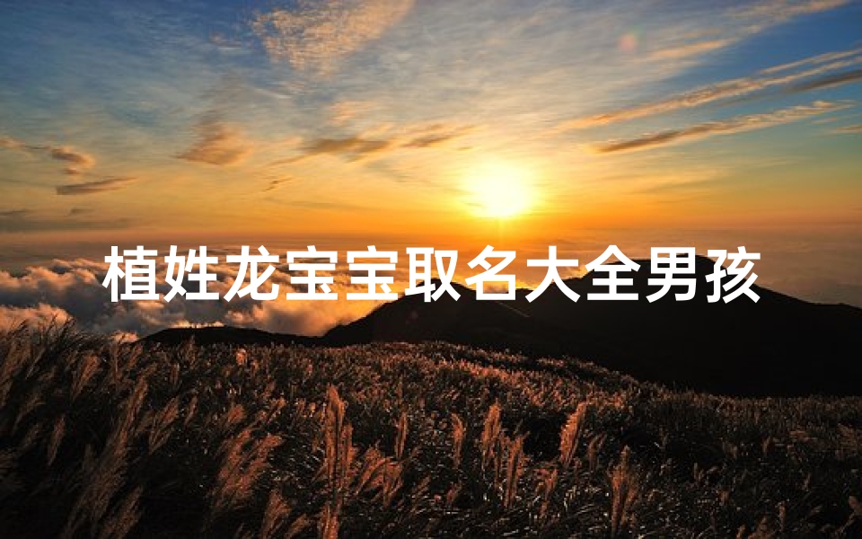 植姓龙宝宝取名大全男孩-《植姓龙宝宝取名大全：创意美名汇聚》