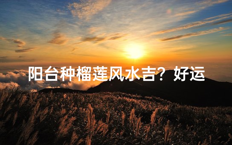 阳台种榴莲风水吉?好运连连揭秘-优贝算卦网