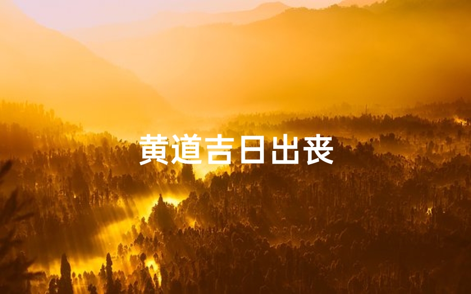 黄道吉日出丧