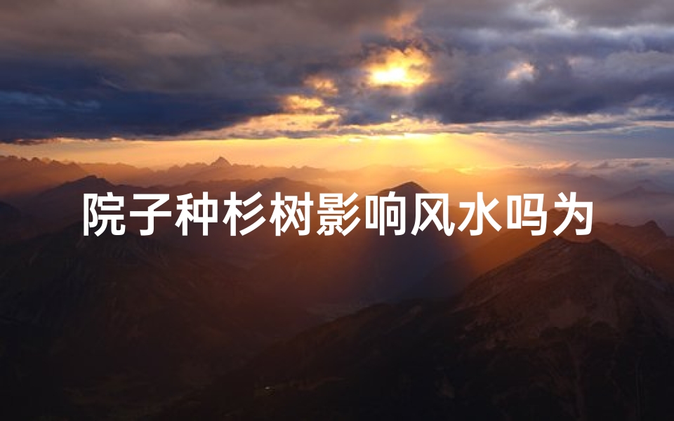 院子种杉树影响风水吗为什么;院子种杉树影响风水?揭秘杉树风水之谜
