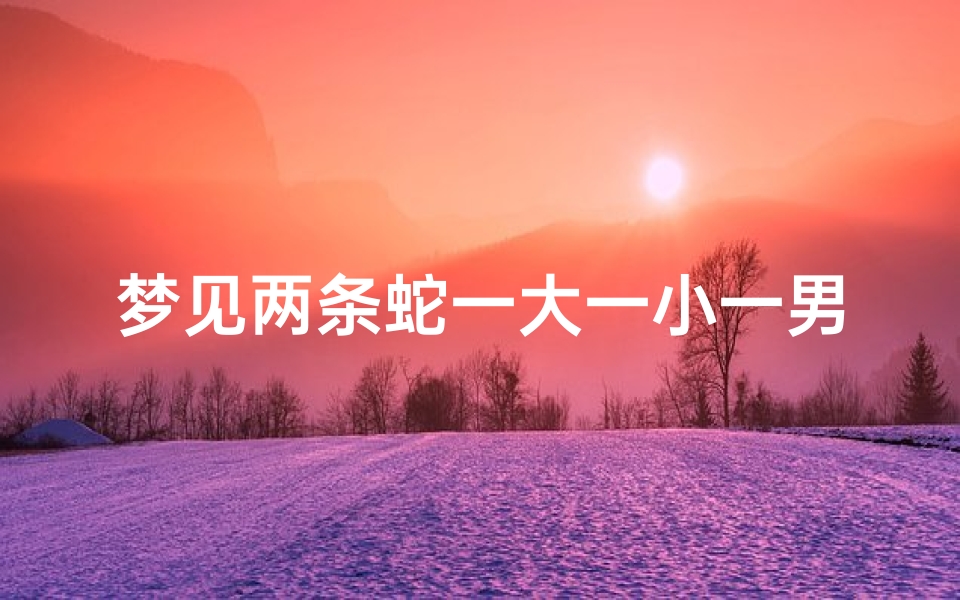 梦见两条蛇一大一小一男一女—梦见两条蛇一个大蛇一个小蛇