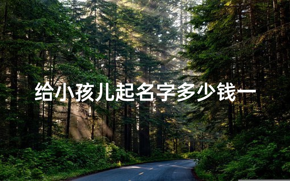 给小孩儿起名字多少钱一个
