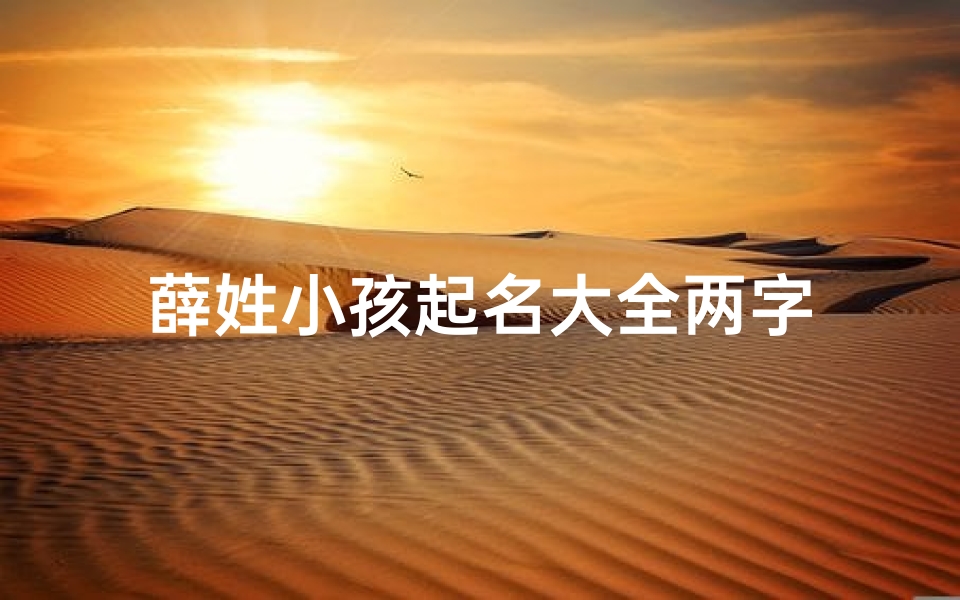 薛姓小孩起名大全两字